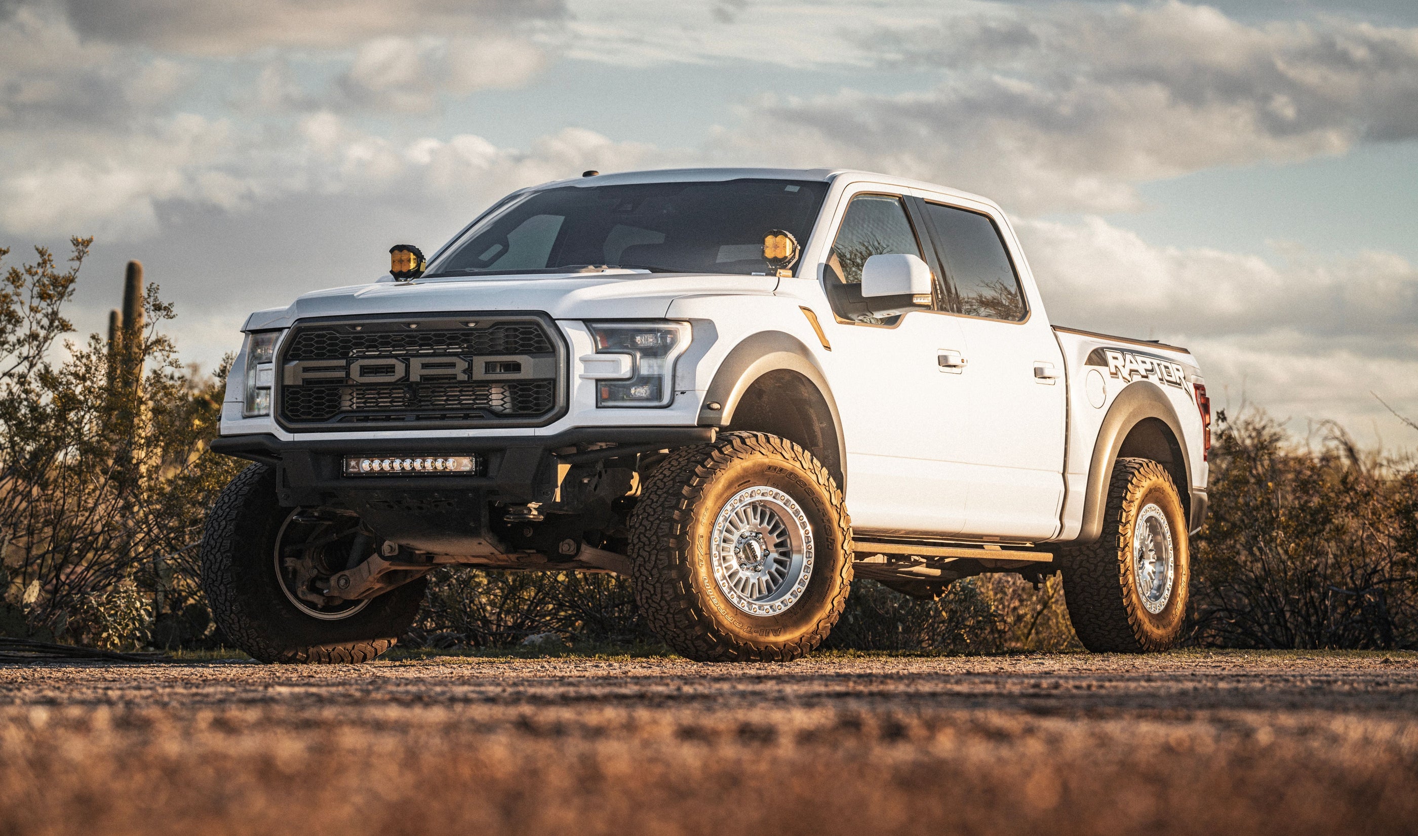 White Ford truck on a dirt road with a desert landscape and cactus in the background